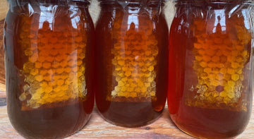 Honey Hot Wildflower Jar with Comb